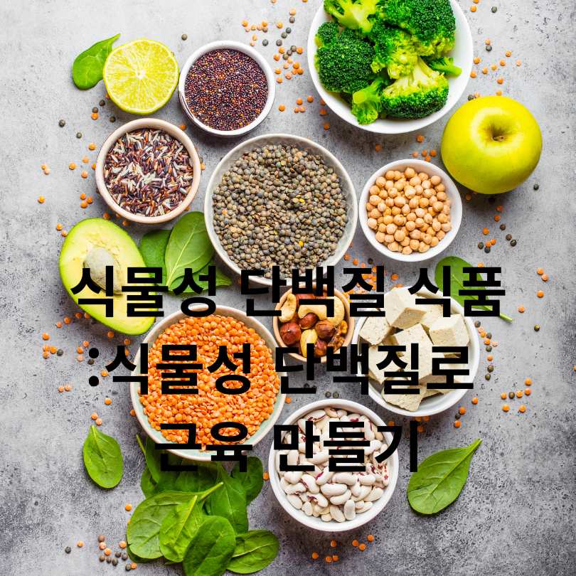식물성 단백질 식품 총정리