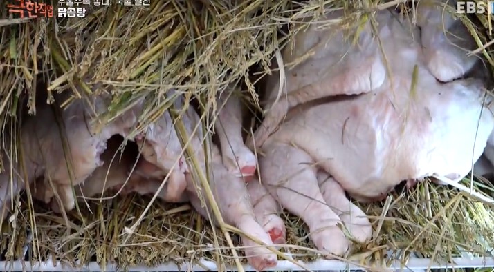 볏짚숙성