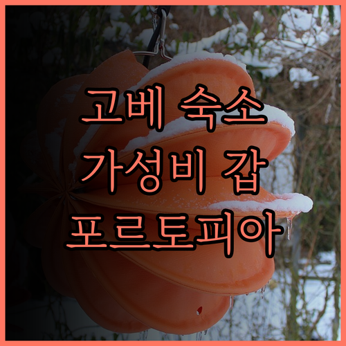 고베 포르토피아 호텔.. 넓고 쾌적한