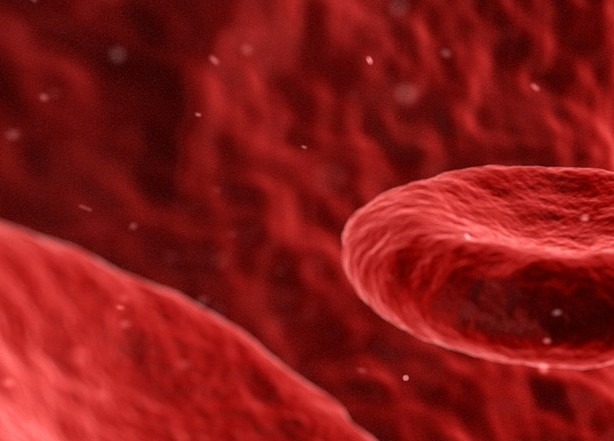 hdl콜레스테롤 정상수치