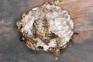 최문보 교수 1호 제자 김재희 연구원