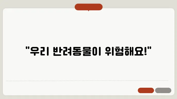 반려동물 비만 관리
