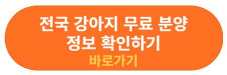 강아지 무료 분양 정보 사이트