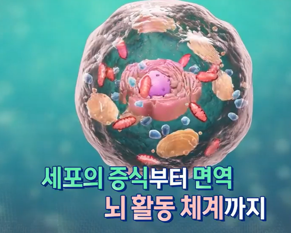 산양유 단백질 효능