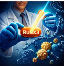 RUNX3 유전자 회복