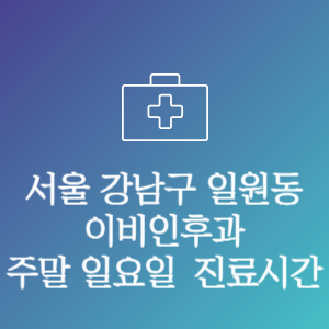 서울 강남구 일원동 이비인후과 주말 일요일 문여는 병원 진료시간