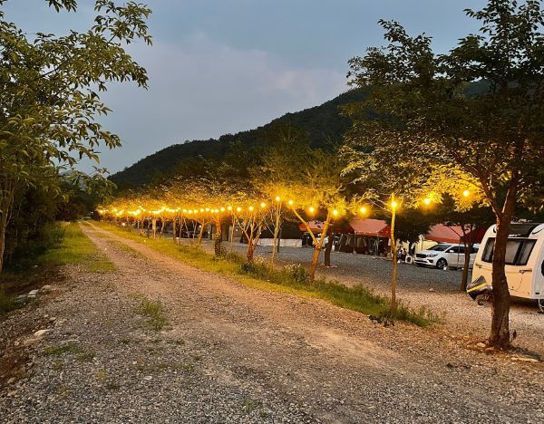 캠핑장_야간전경