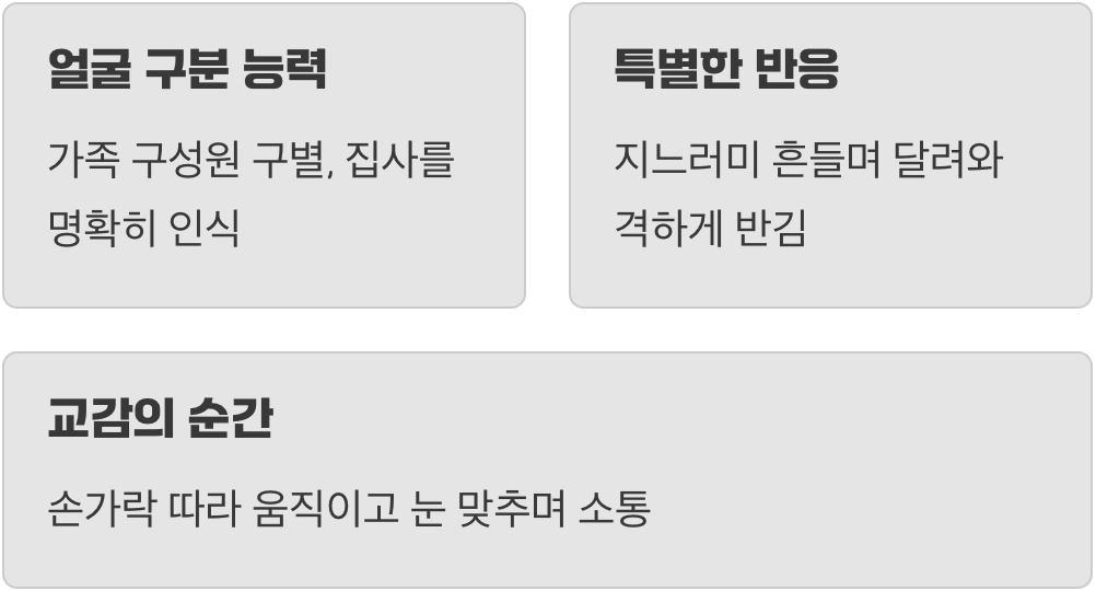 주인의 얼굴을 기억하는 물속 친구