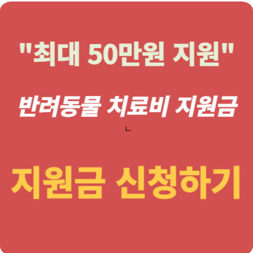 반려동물 치료비 지원금 신청