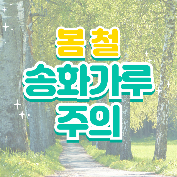 송화가루 날리는 시기