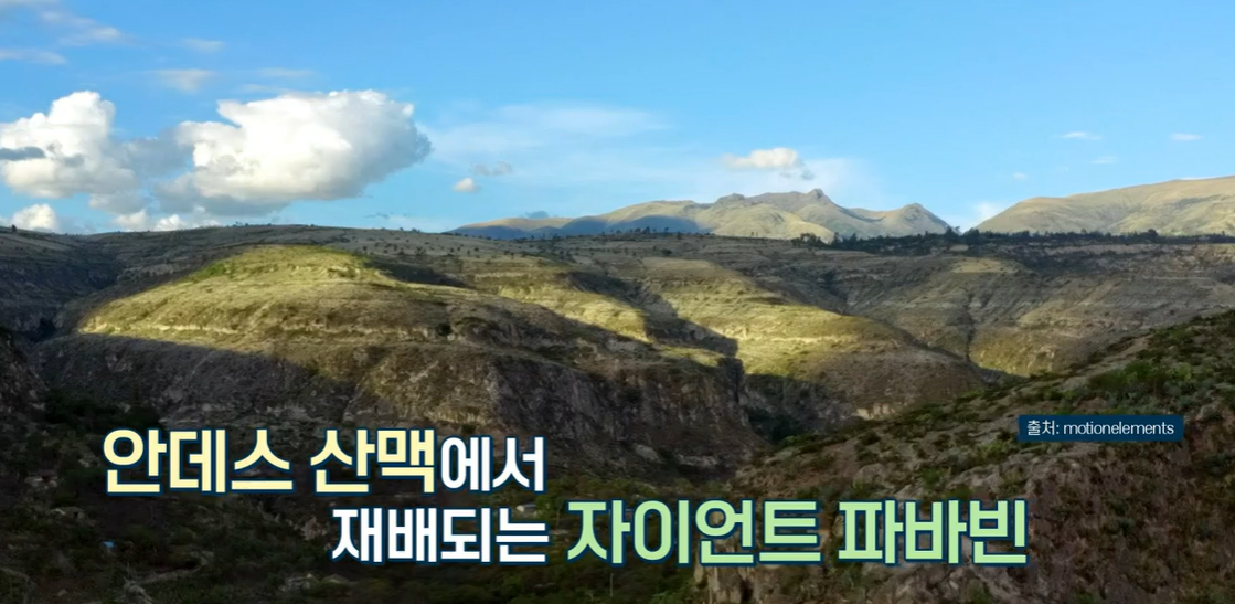 파바빈이란