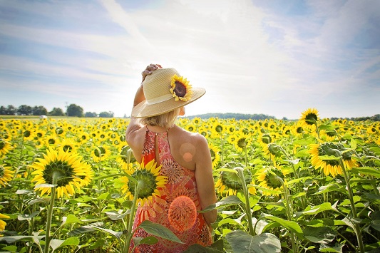 summer-health-care