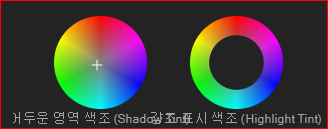 색조원반