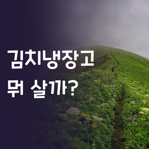 김치냉장고 구매 가이드 삼성 vs L..