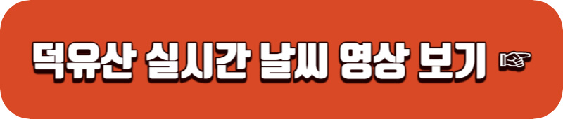 덕유산-실시간-cctv-보기