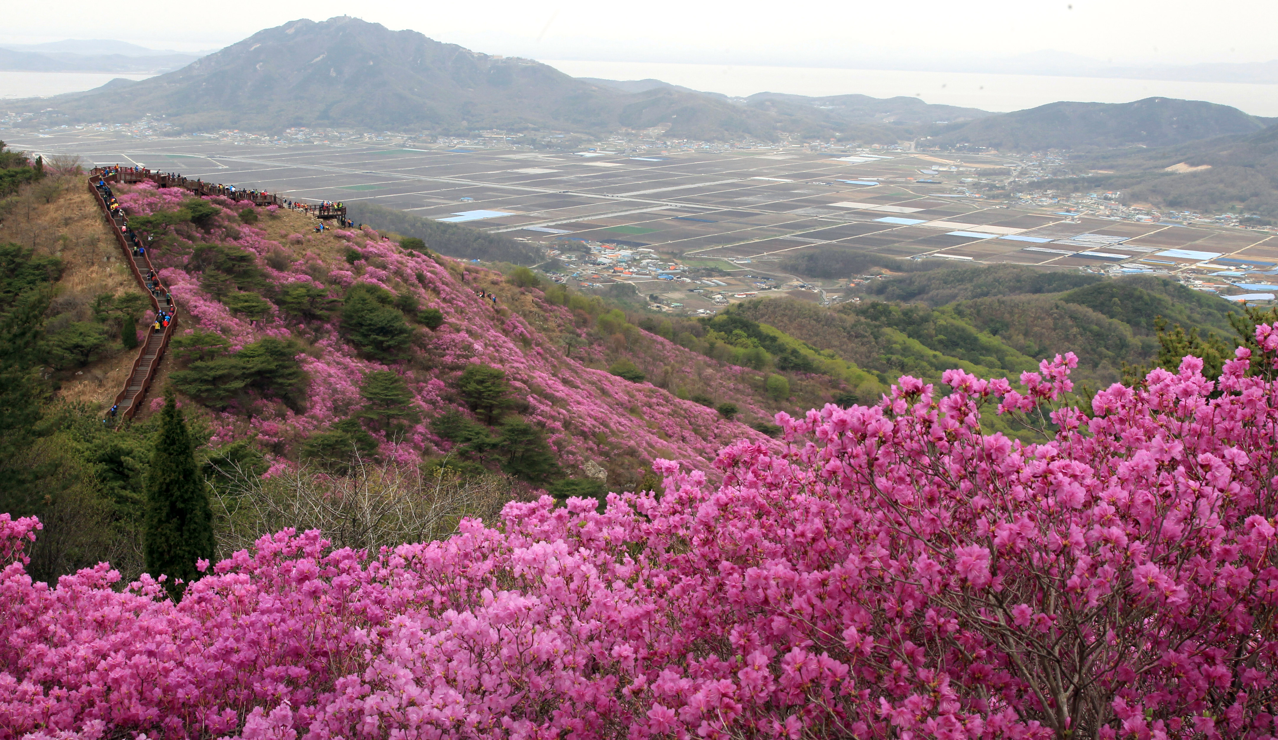 강화도에서 봄을 만끽! 추천 여행지 & 맛집 TOP 20