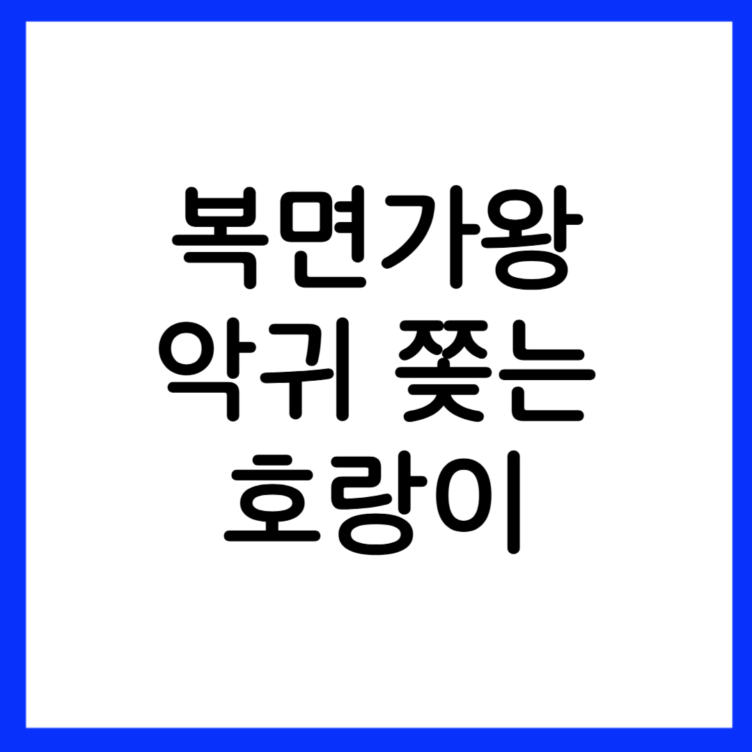 복면가왕