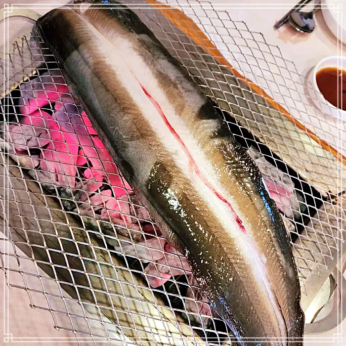 토밥 좋아&#44; 토요일은 밥이좋아 용인&#44; 기흥 대물장어 숯불 구이&#44; 소금구이&#44; 양념구이 맛집