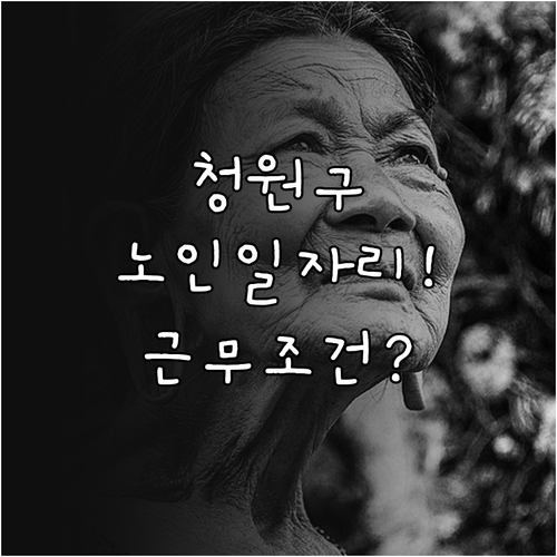 청원구 시니어클럽 노인일자리 참여 방..
