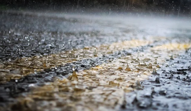 노르웨이 기상청 어플