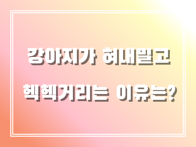 강아지 혀내밀고 헥헥거리는 이유