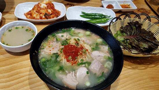 벚꽃 축제 제주 맛집 BEST 3