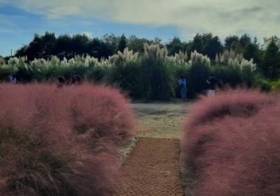 태안 청산수목원 여행지
