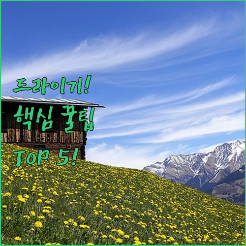 헤어 드라이기 추천 TOP 5 가격 ..