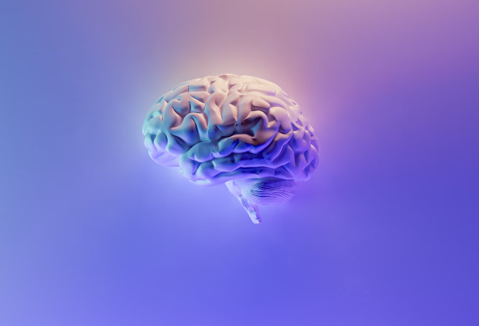 오메가 3 효과(효능) : 뇌기능