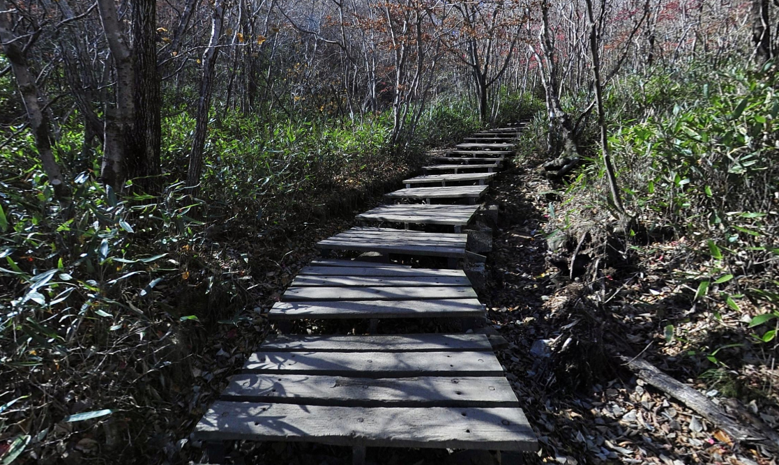 가야산2코스(서성재~칠불봉)