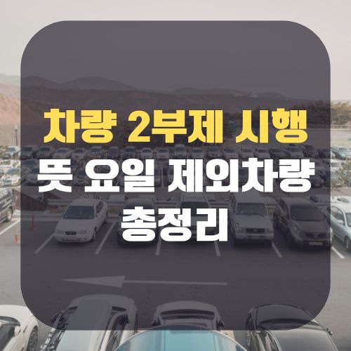 차량 2부제 시행 뜻 제외차량 요일별 번호
