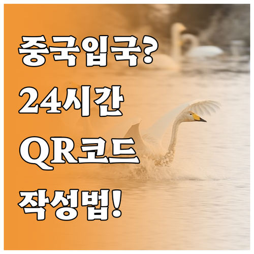 중국 입국카드 QR 코드 24시간 유..