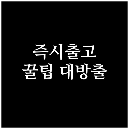 장기렌트 즉시 출고 팁: 모델, 옵션..