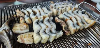 민물장어 가격 효능 민물장어 바다장어 차이 종류_16