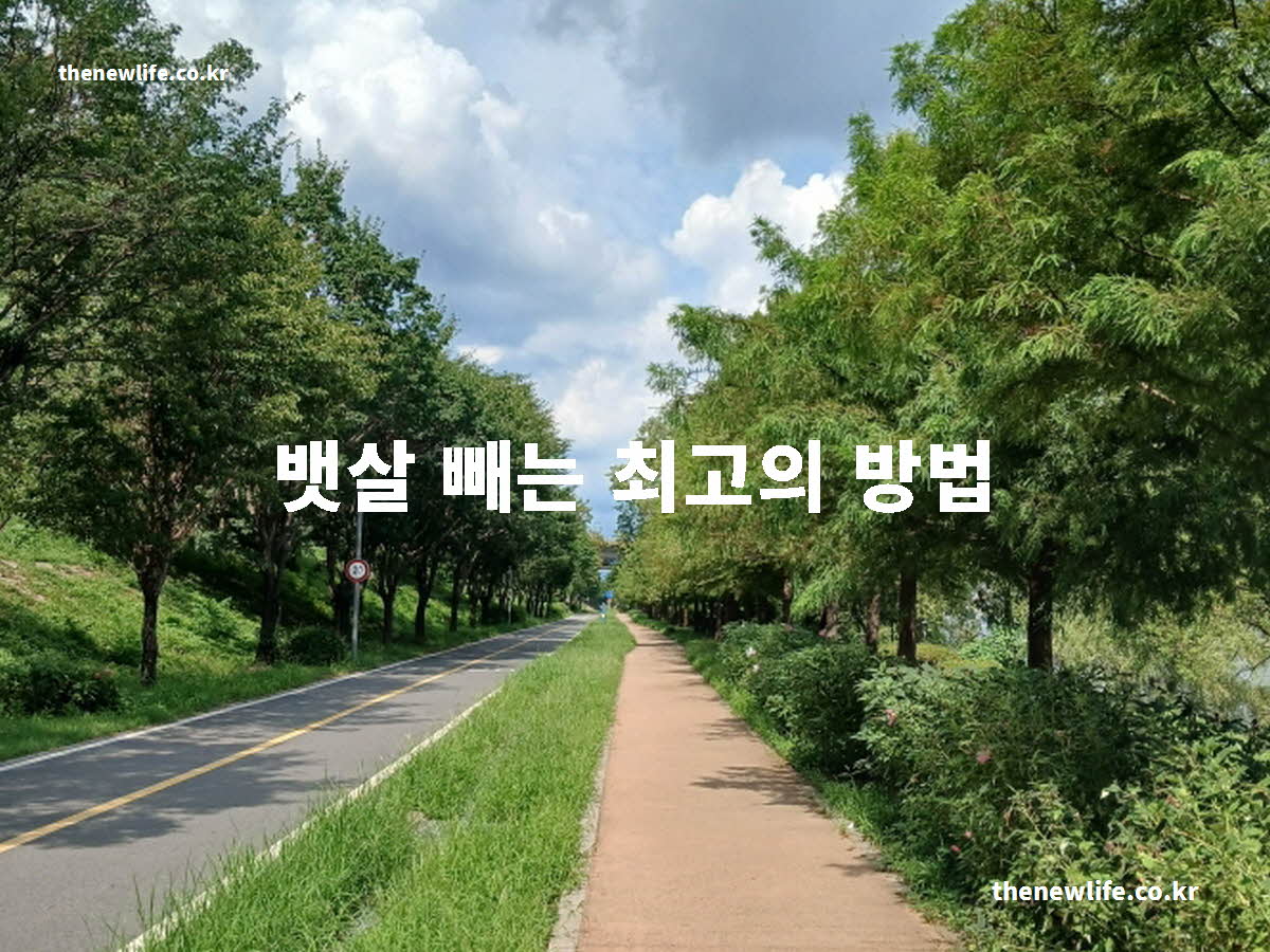 뱃살 빼는 최고의 방법 대표 실사진