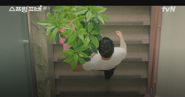 스프링-피버-촬영지-몇부작-인물관계도