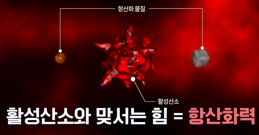 리포좀 비타민c 효능