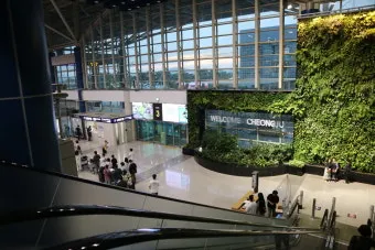 청주공항 국제선 노선 운항정보 취항지 스케줄_5