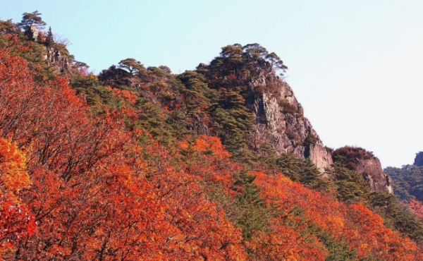 2025 민주지산 휴양림 단풍여행 추천 코스 ❘ 올해 단풍 시작&middot;절정 시기