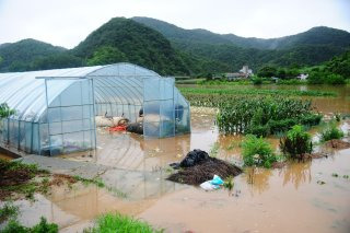 2025 아산 곡교천 홍수경보, 재난 속의 도시를 기록하다