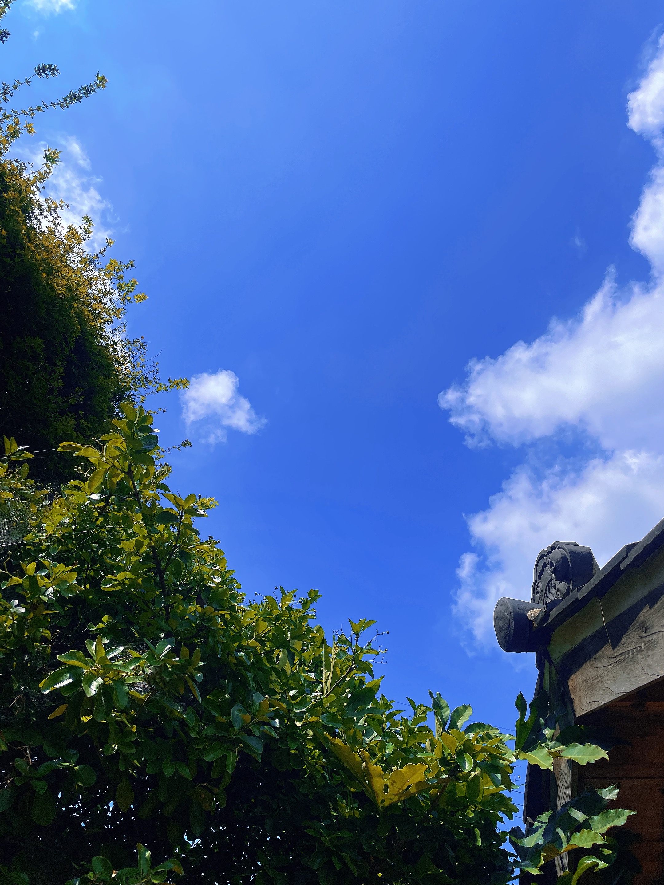 일본식 신흥가옥 – 군산에 남아 있는 일본식 주택