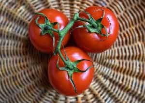 변비에 좋은 음식 변비해결방법 실제후기 (쾌변 효과)