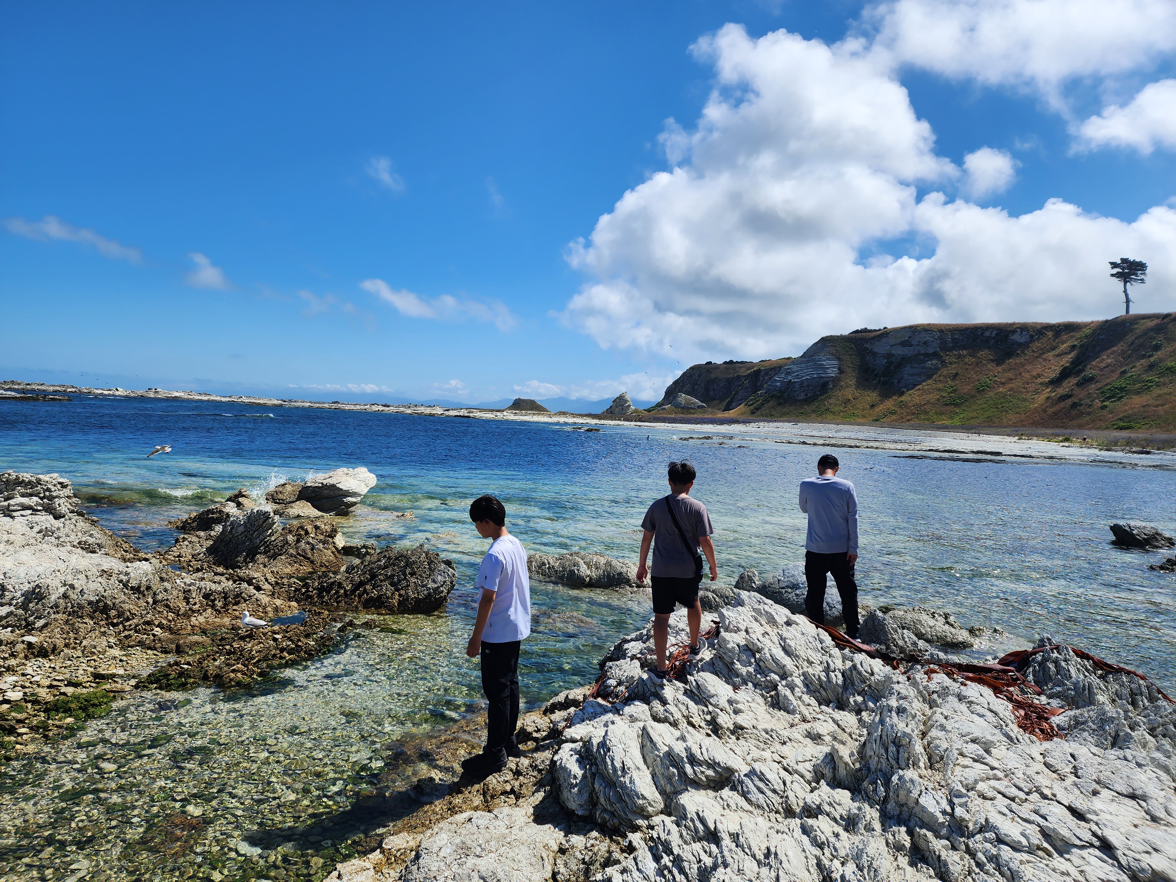 Kaikoura Peninsula Walkway