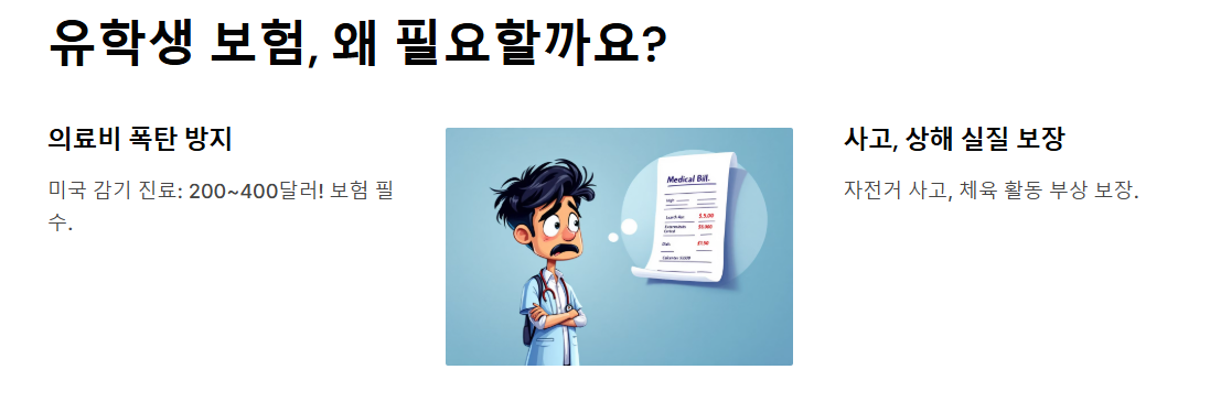 유학생 보험 - 유학 중 발생할 수 있는 의료·사고·법률 문제를 대비