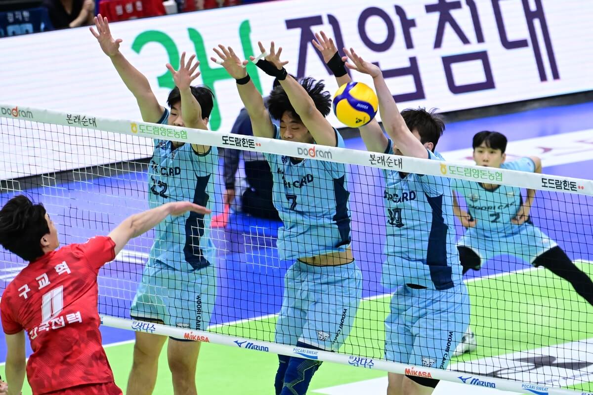 삼성화재 우리카드 배구