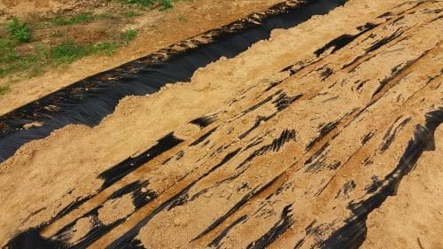 대파-재배밭-밑거름시비량-웃거름주기