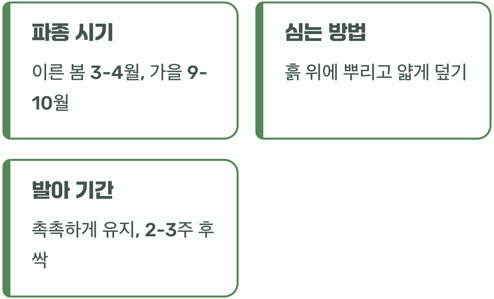 씨앗 한 톨, 생명력을 심는 법