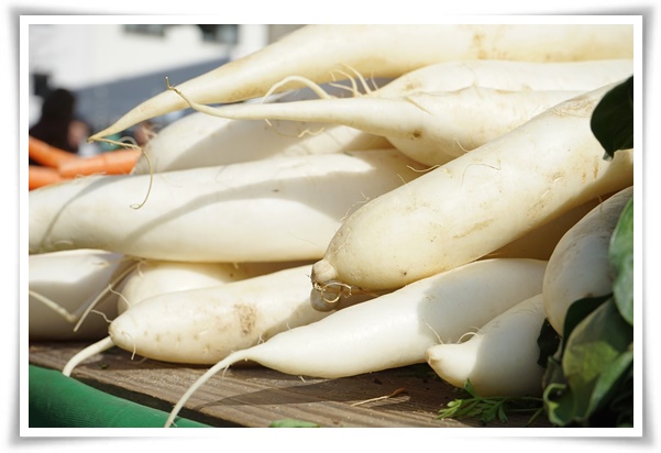 "김장 무, 직접 길러보세요!" 초보자도 성공할 수 있는 쉬운 재배 가이드!