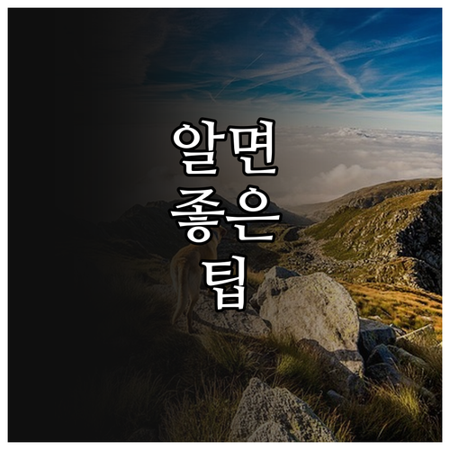 울산 시민이라면 필수 2025 체육시..