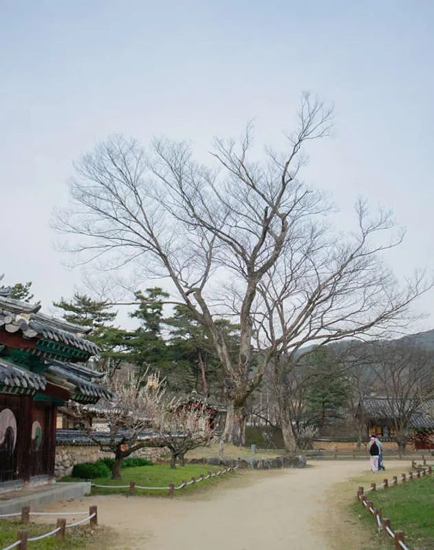 회연서원
